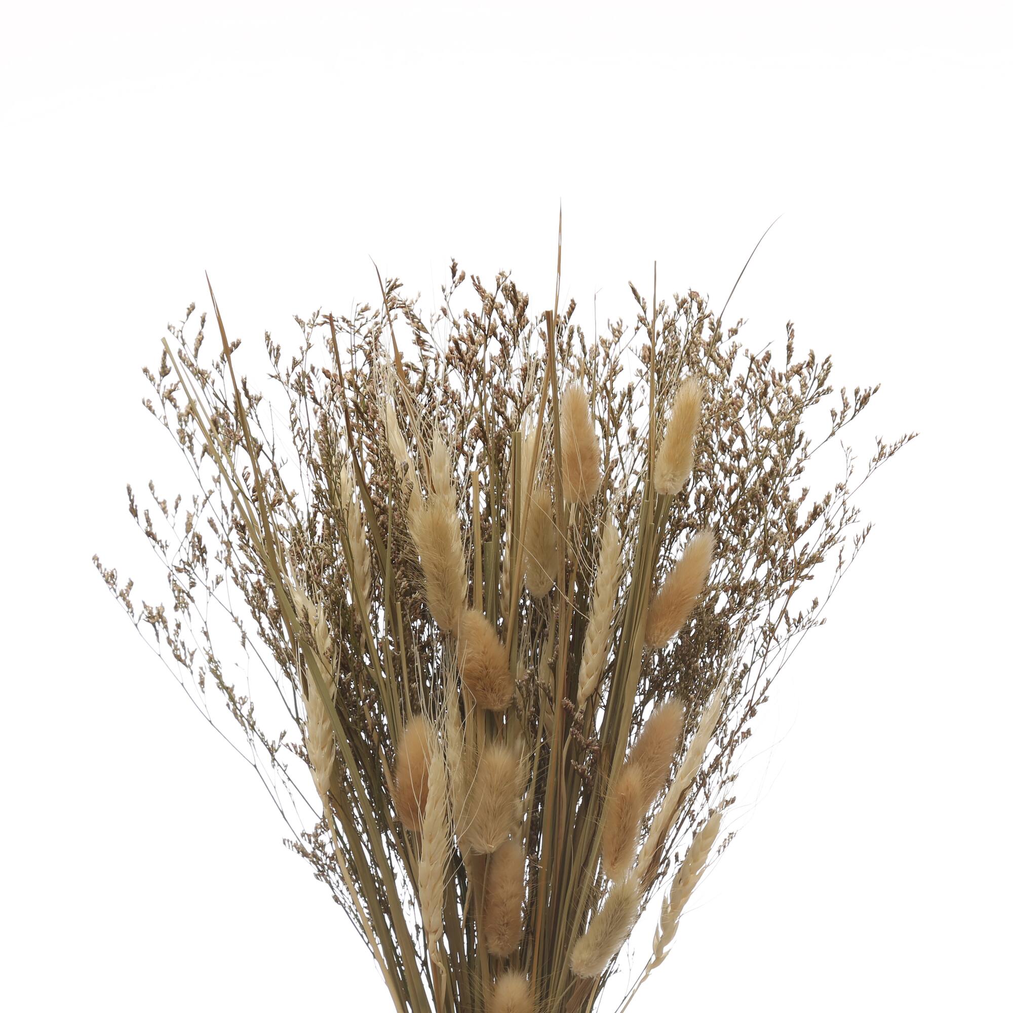 6 Pack: Brown Natural Bouquet by Ashland®